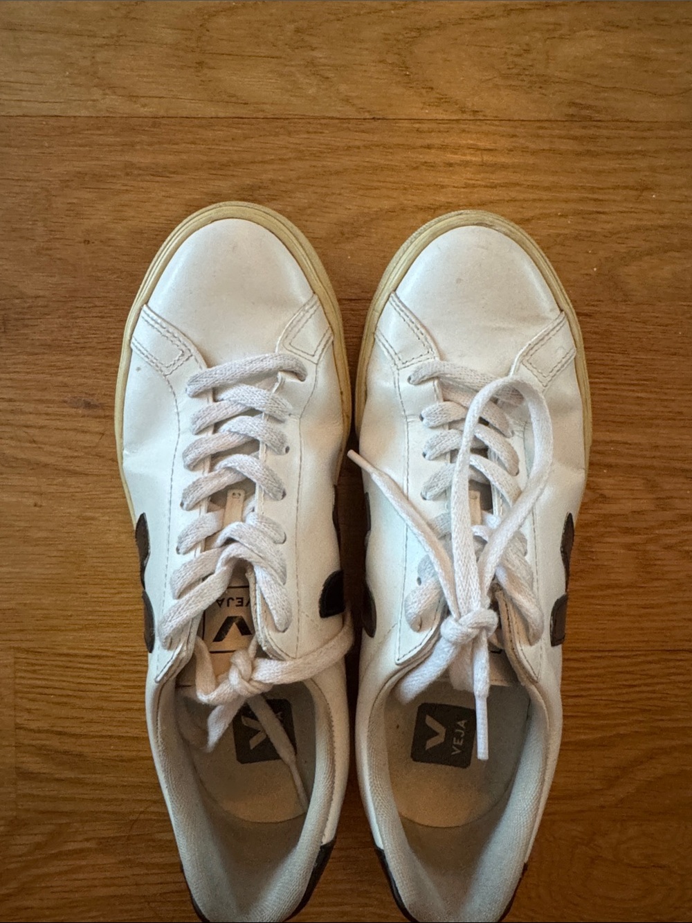 Veja Low-Top Sneakers in White with Black V Logo